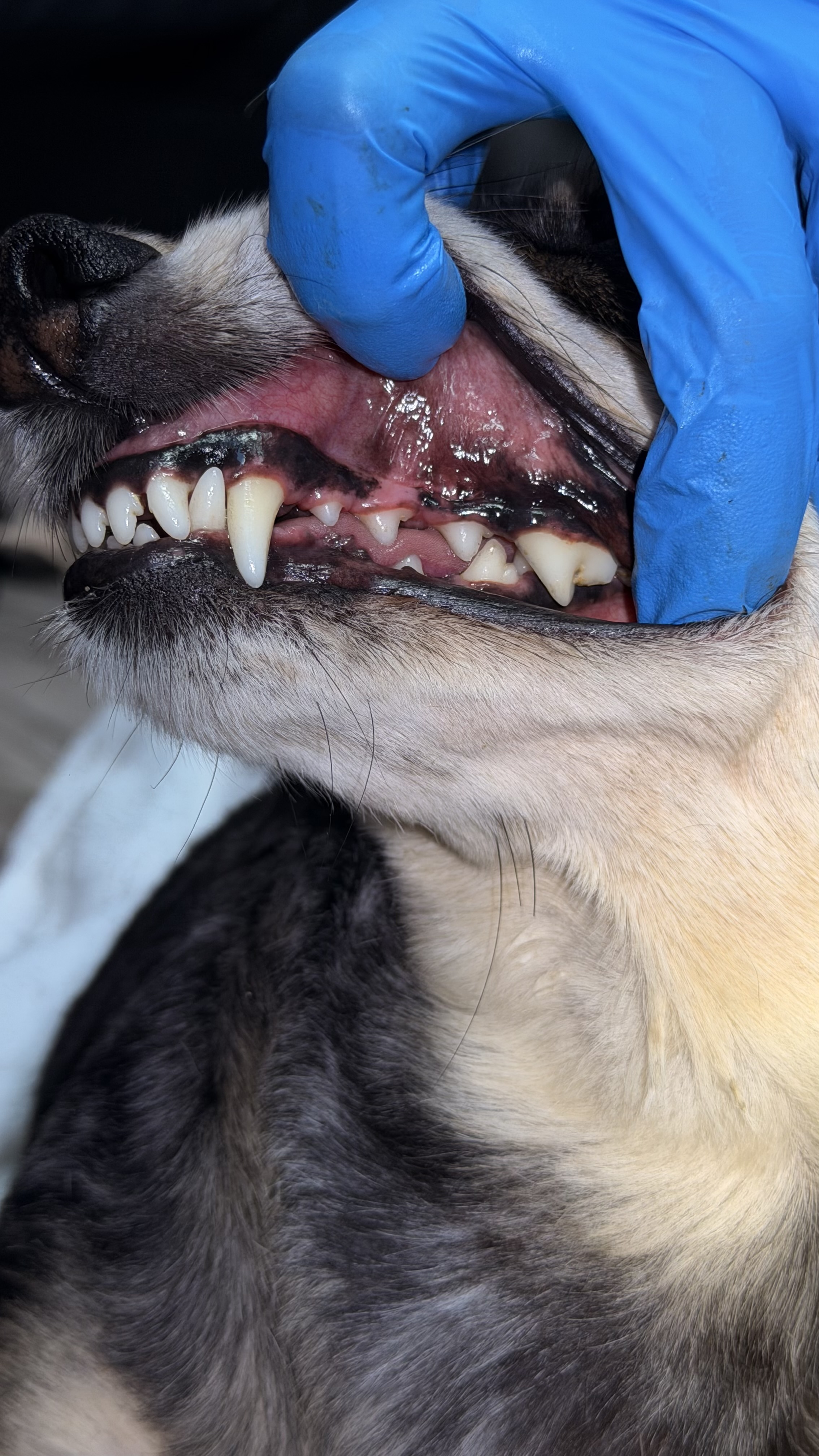 After - Bye bye bad breath