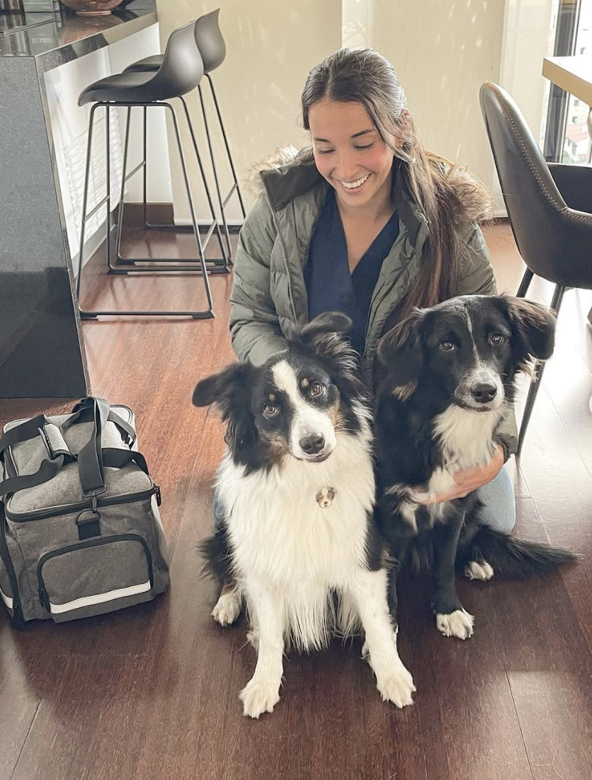 Teeth cleaning day for two siblings 🐶🦷