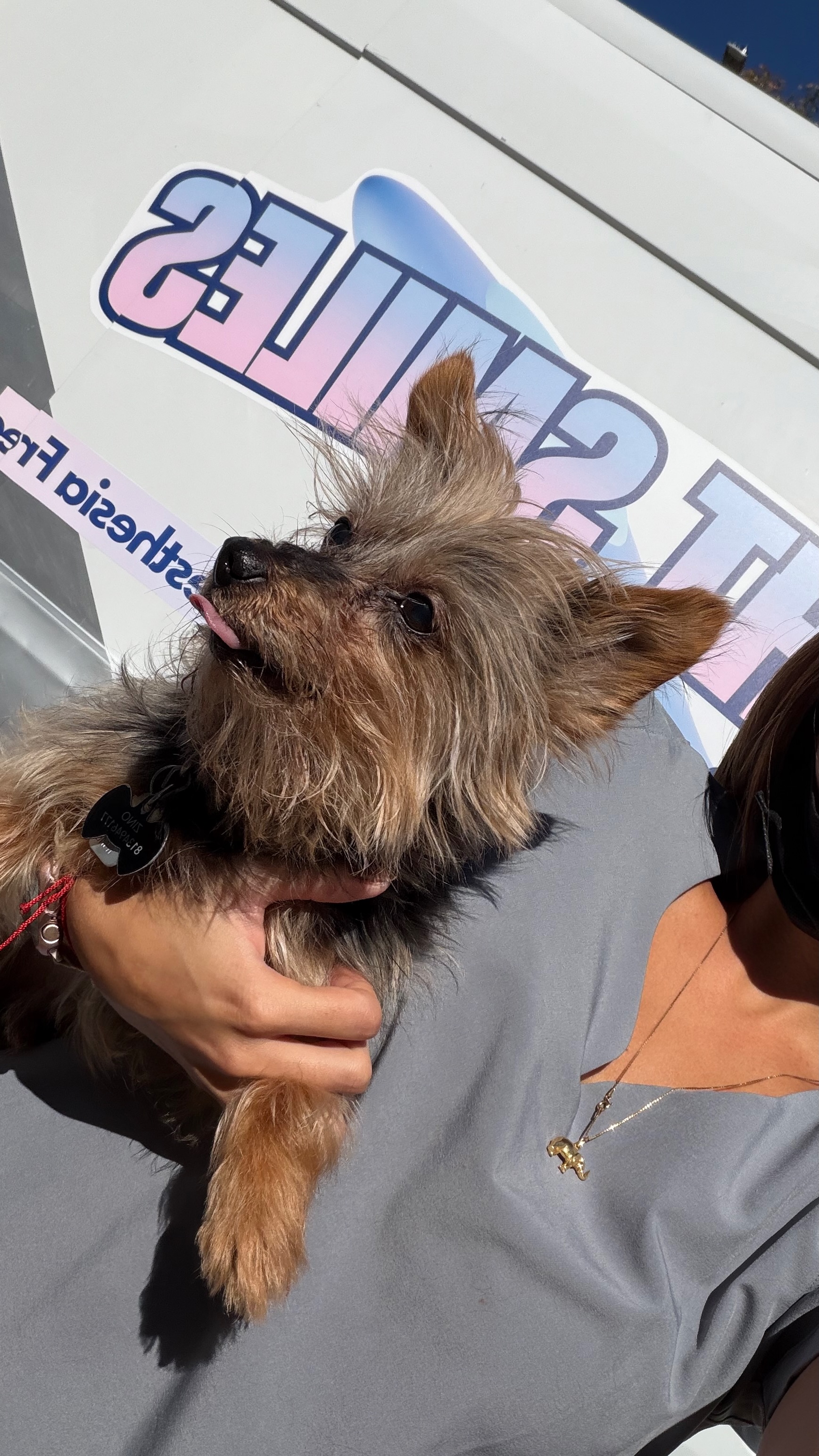 Before dental cleaning