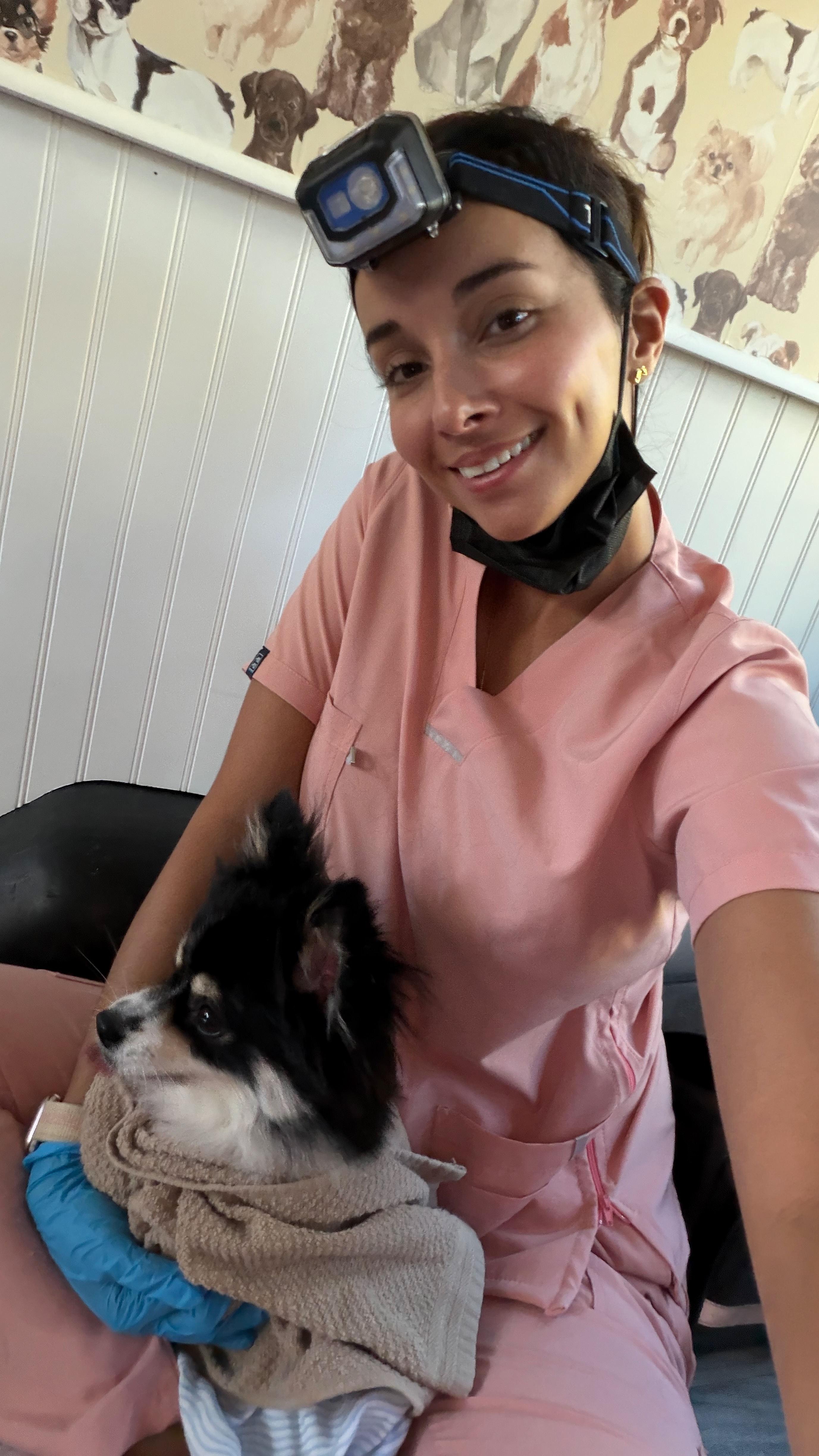 teeth cleaning session